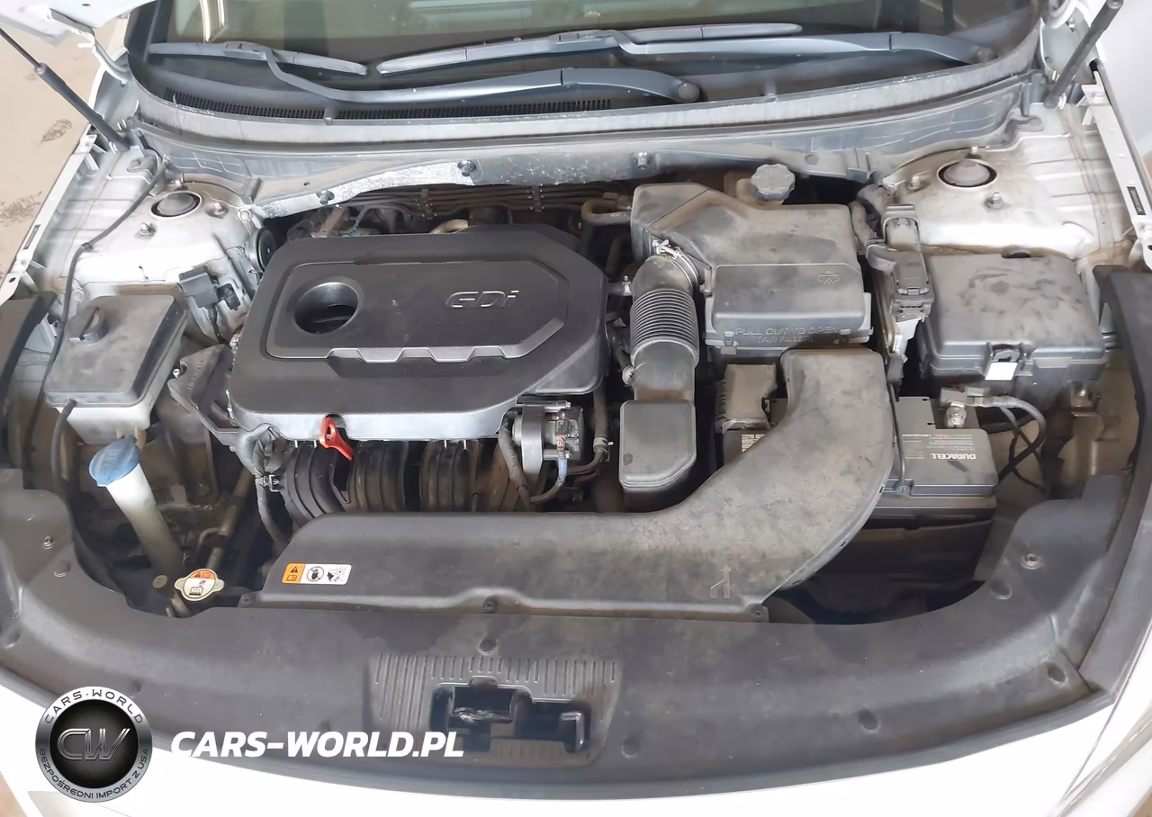 2017 Hyundai Sonata VIN:5NPE24AF6HH490985 - 10