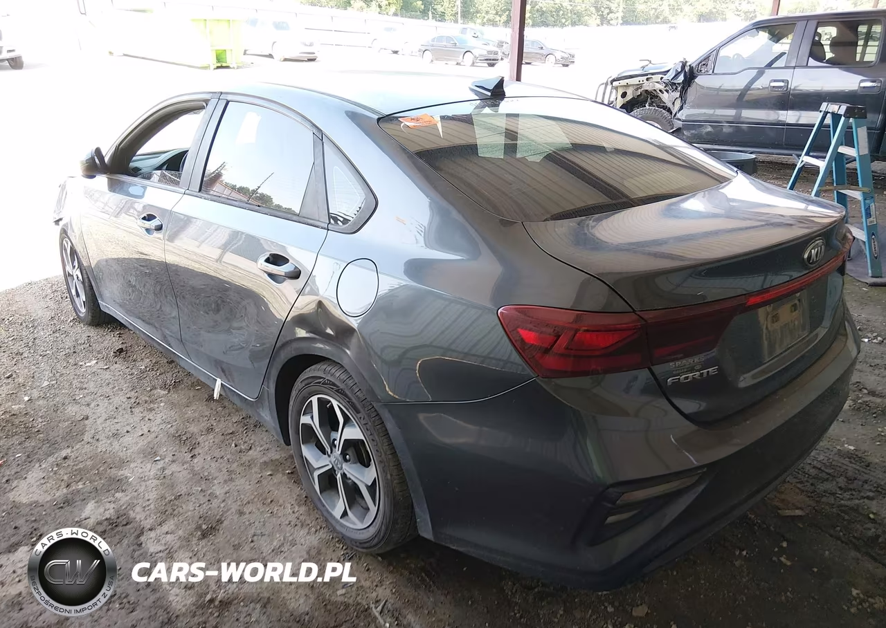 2019 Kia Forte Lxs VIN:3KPF24AD7KE125939 - 3