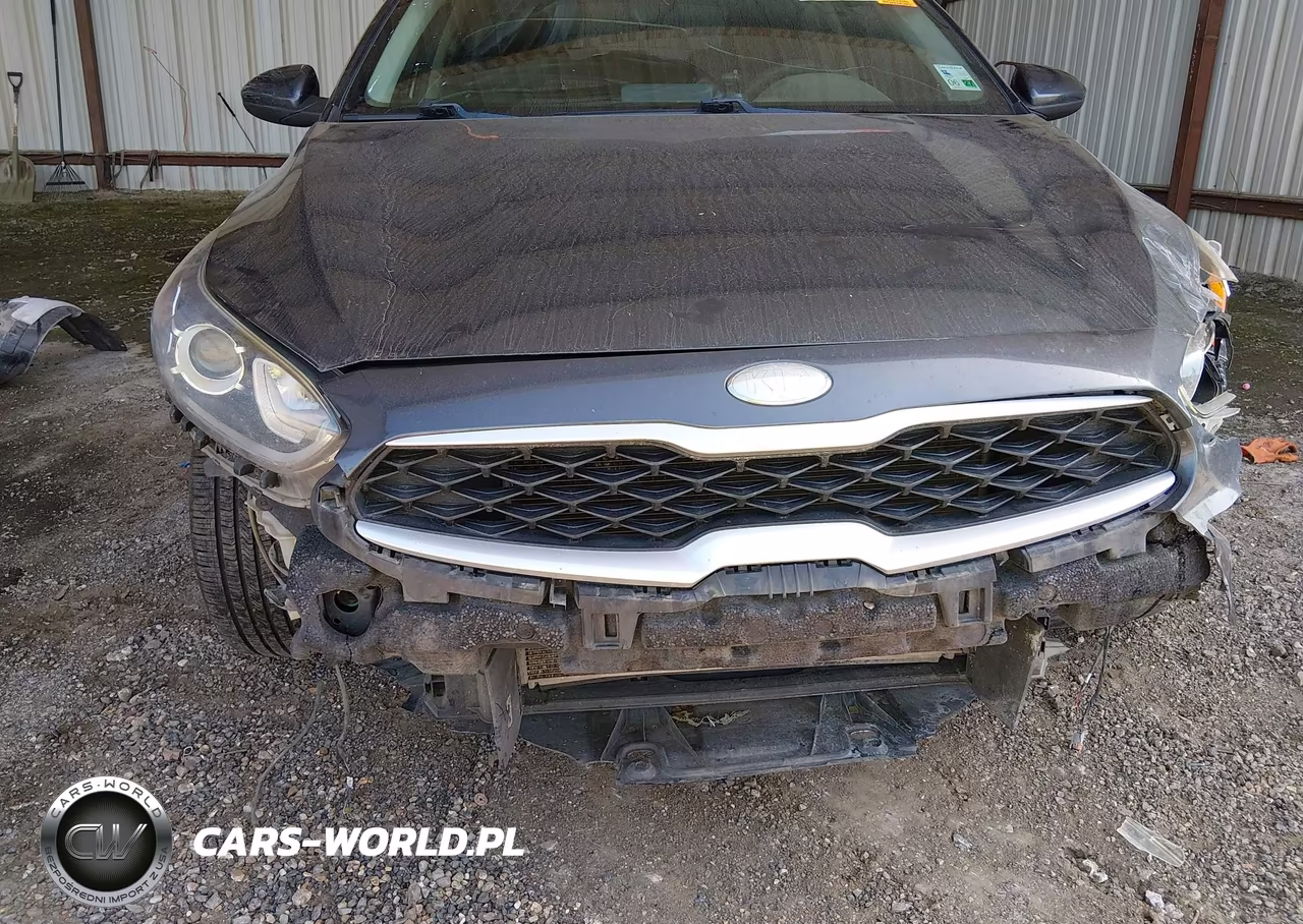 2019 Kia Forte Lxs VIN:3KPF24AD7KE125939 - 6