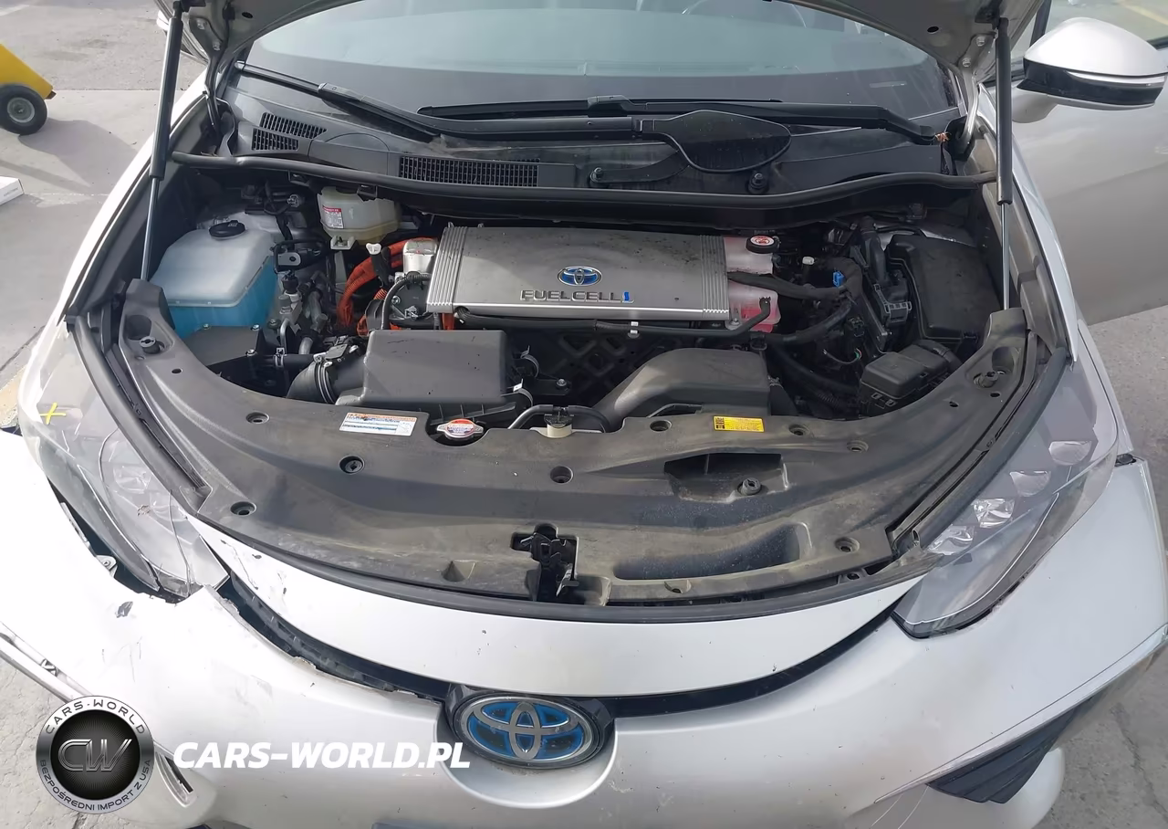 2019 Toyota Mirai VIN:JTDBVRBD8KA007743 - 10