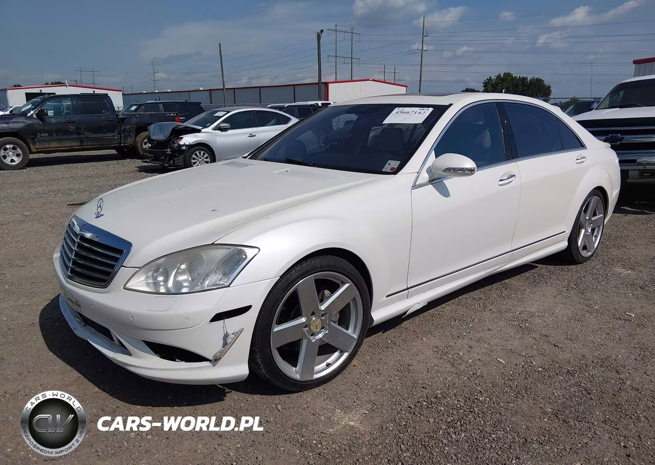2009 Mercedes-Benz S 550 VIN:WDDNG71X89A273013 - 2