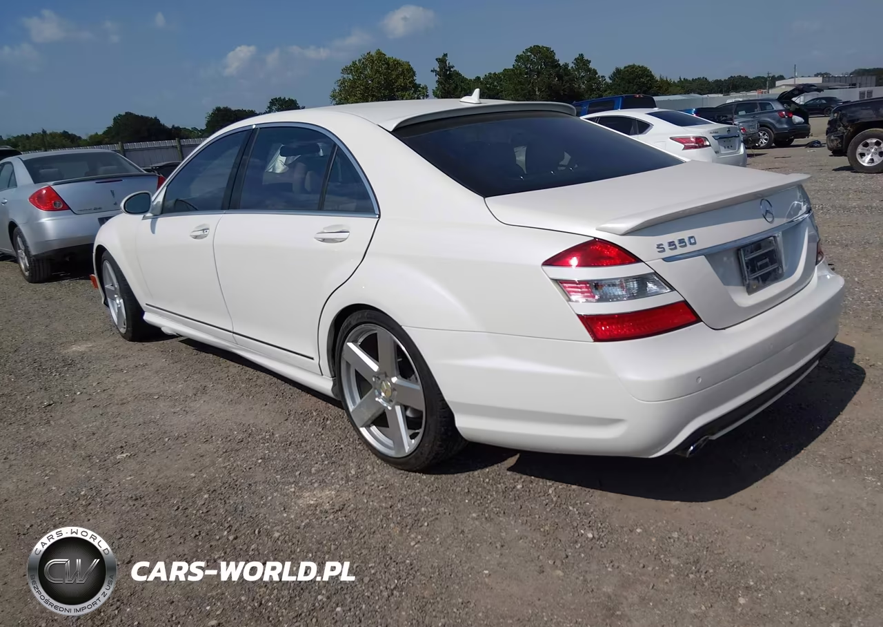 2009 Mercedes-Benz S 550 VIN:WDDNG71X89A273013 - 3