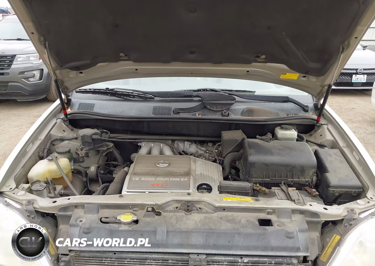 2002 Lexus Rx 300 VIN:JTJHF10U020246217 - 10