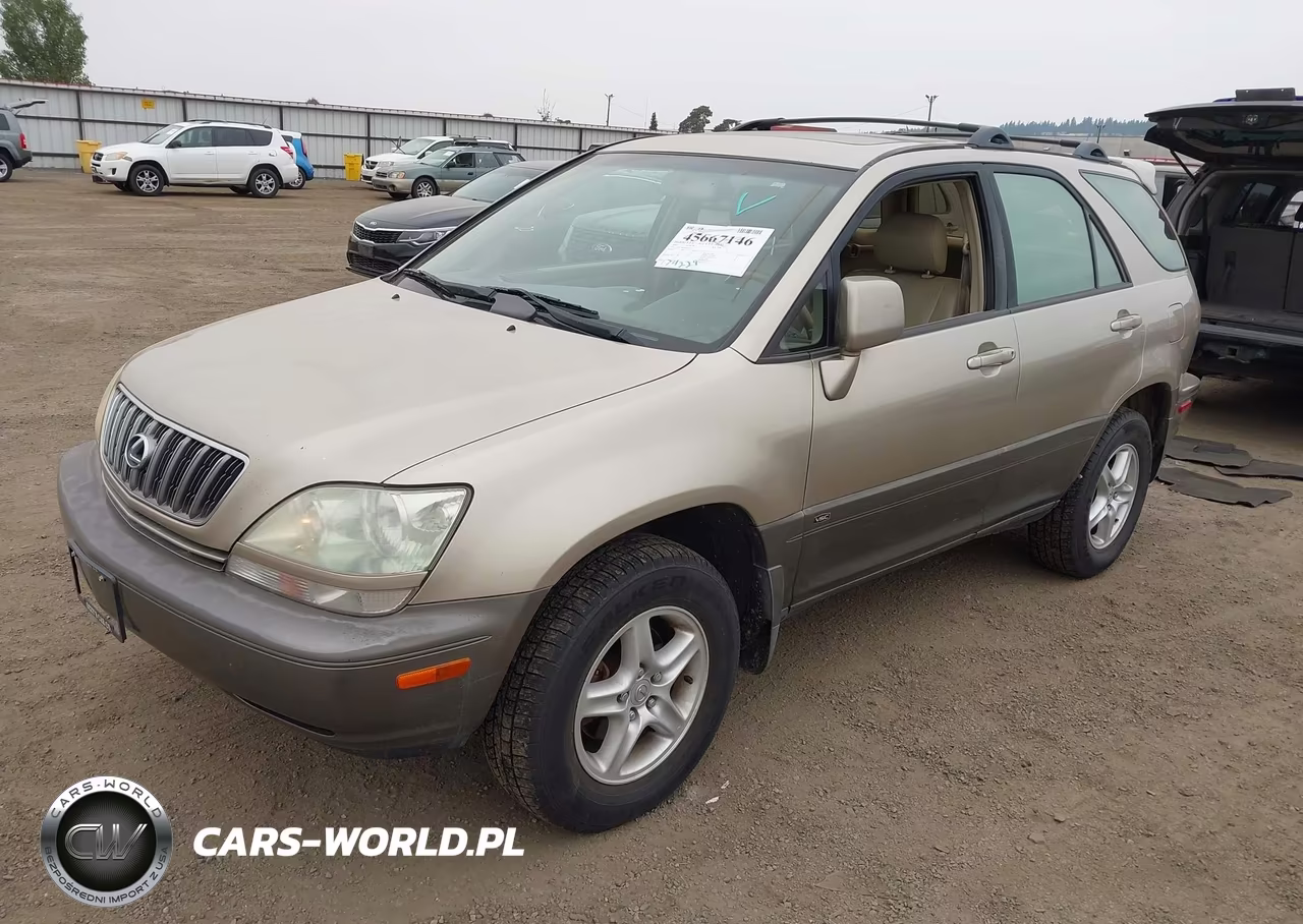 2002 Lexus Rx 300 VIN:JTJHF10U020246217 - 2