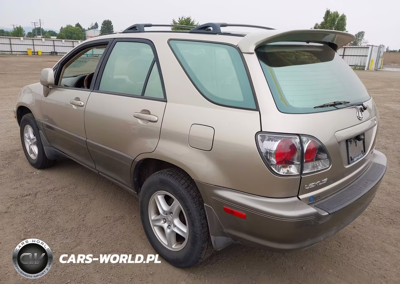 2002 Lexus Rx 300 VIN:JTJHF10U020246217 - 3