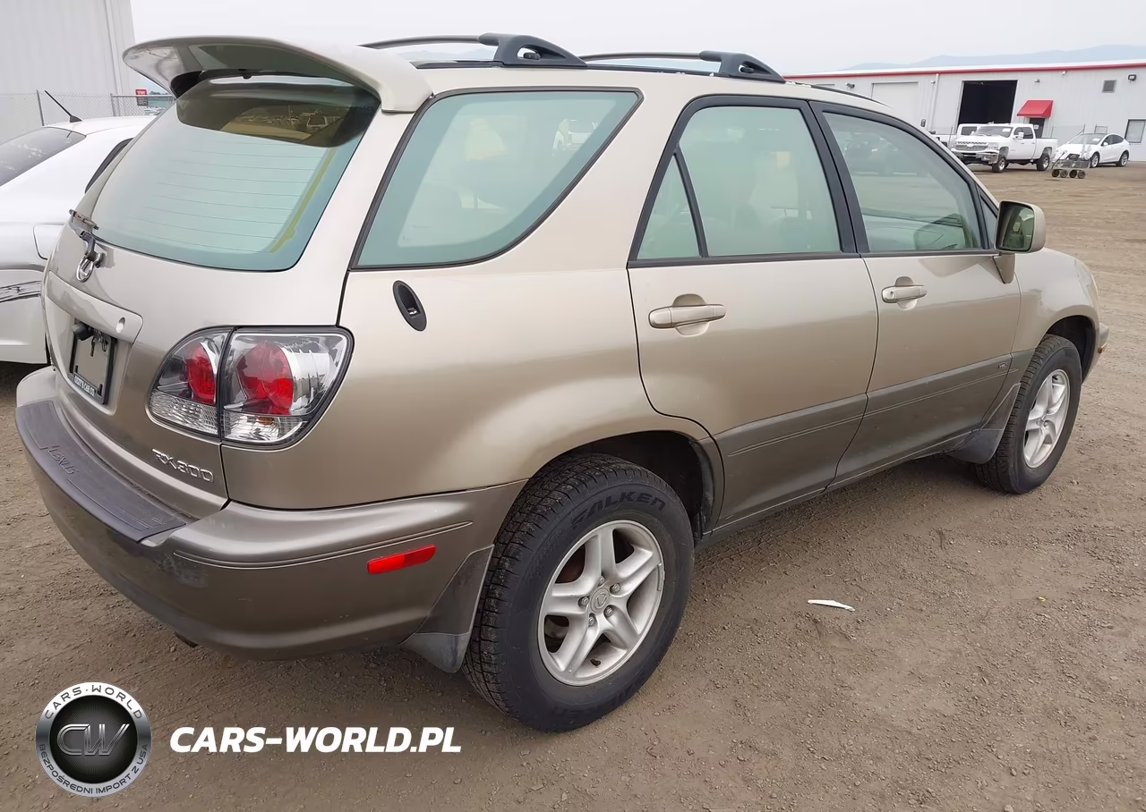 2002 Lexus Rx 300 VIN:JTJHF10U020246217 - 4
