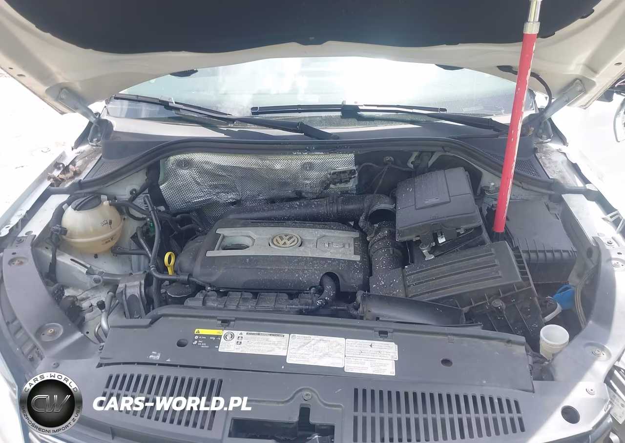 2015 Volkswagen Tiguan Sel VIN:WVGBV7AX6FW537861 - 10