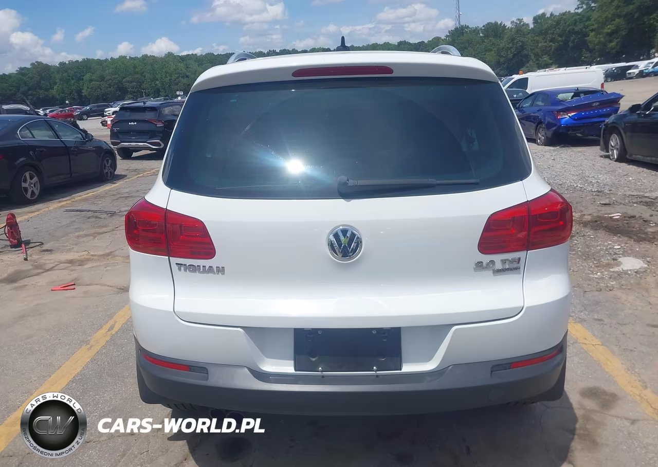 2015 Volkswagen Tiguan Sel VIN:WVGBV7AX6FW537861 - 16