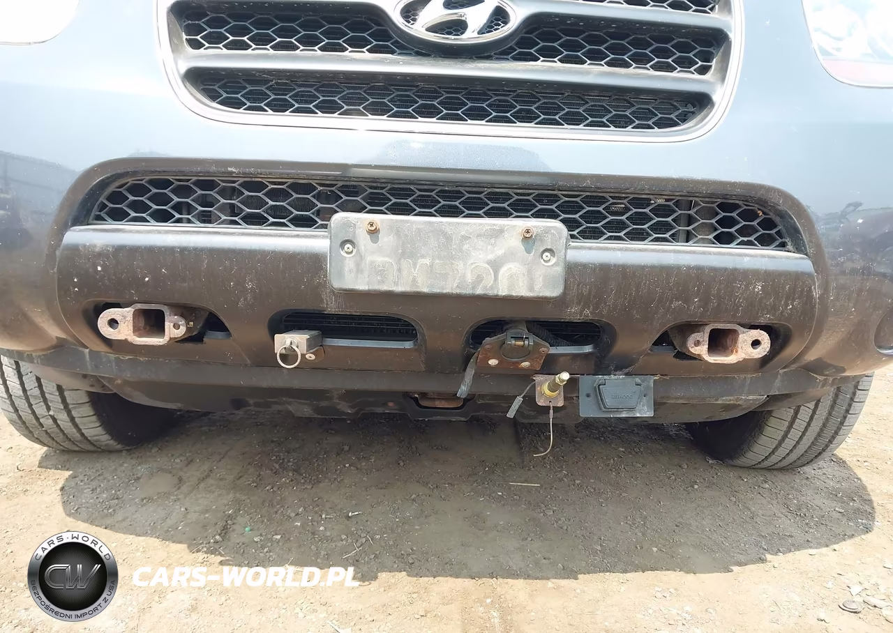2007 Hyundai Santa Fe Gls VIN:5NMSG13D77H046606 - 6