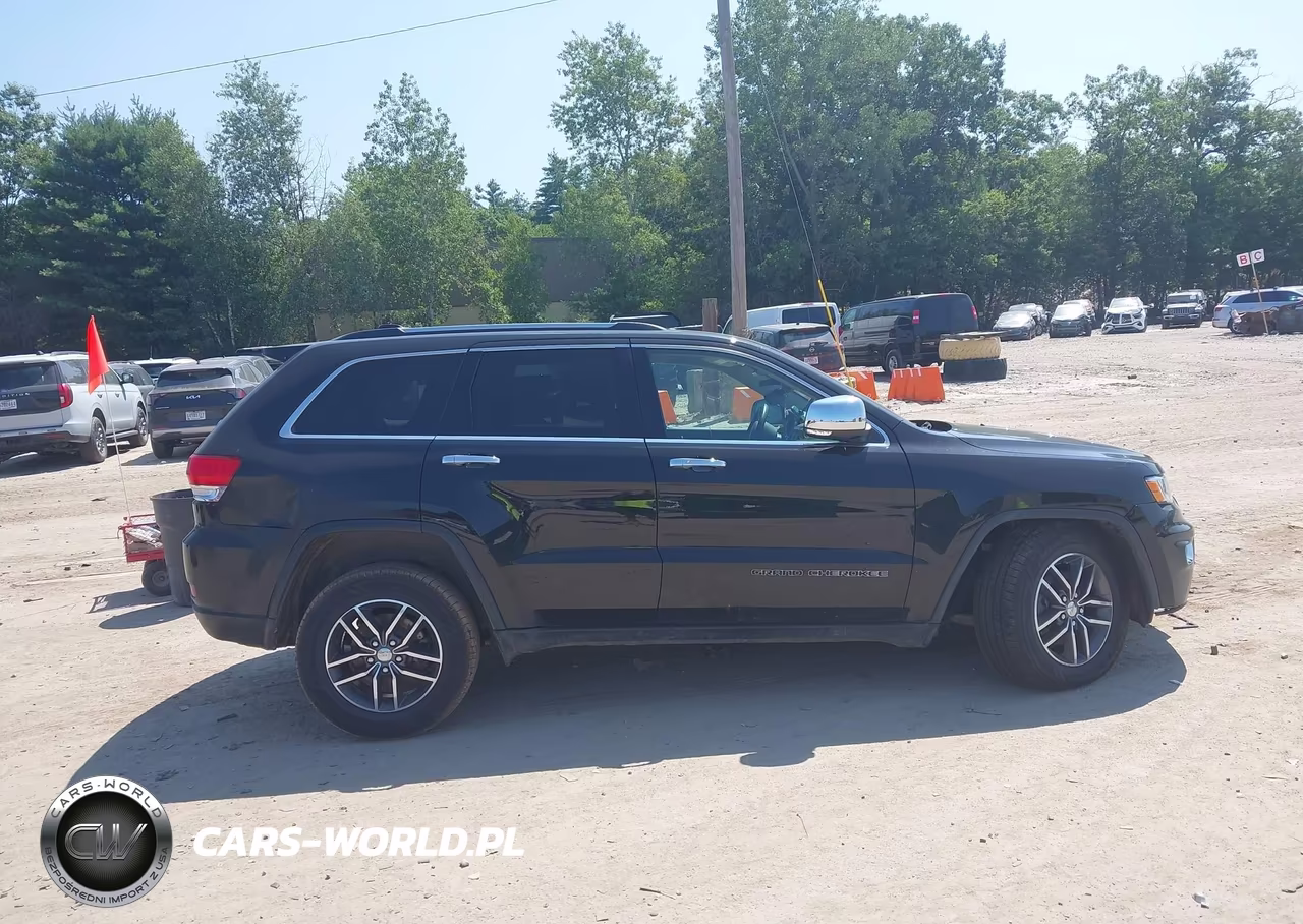 2018 Jeep Grand Cherokee Limited 4X4 VIN:1C4RJFBG5JC384701 - 12