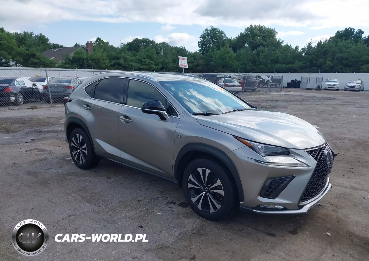 2019 Lexus Nx 300 F Sport – zdjęcie 1 z 16