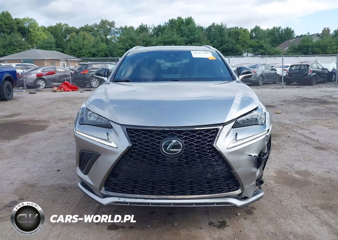 2019 Lexus Nx 300 F Sport VIN:JTJBARBZ7K2211965 - 12