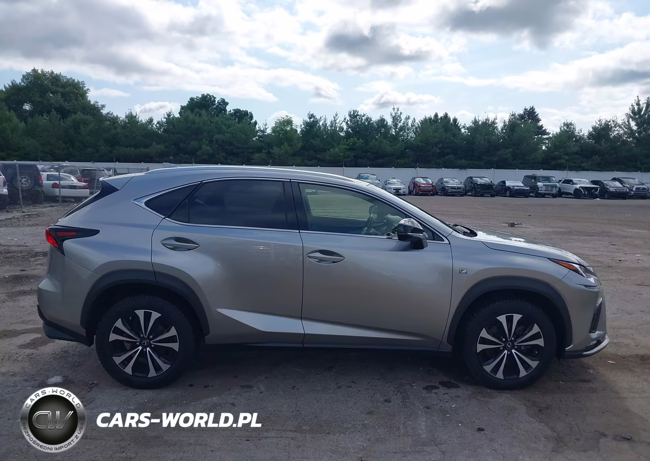 2019 Lexus Nx 300 F Sport VIN:JTJBARBZ7K2211965 - 13