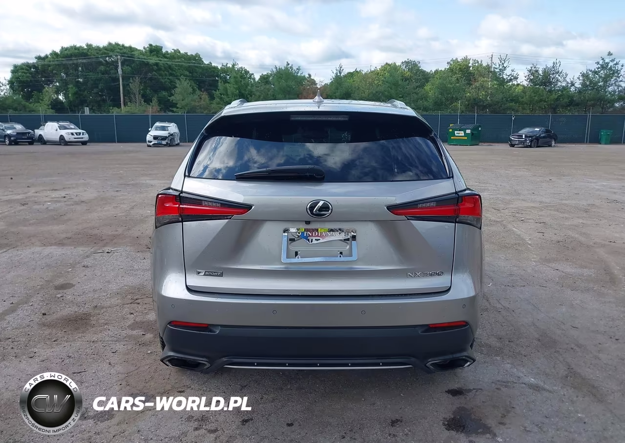 2019 Lexus Nx 300 F Sport VIN:JTJBARBZ7K2211965 - 16