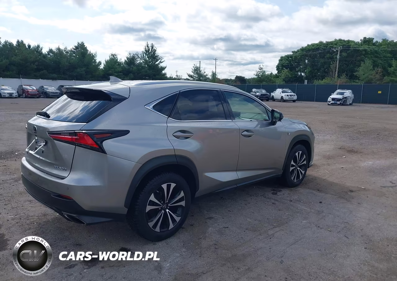 2019 Lexus Nx 300 F Sport VIN:JTJBARBZ7K2211965 - 4
