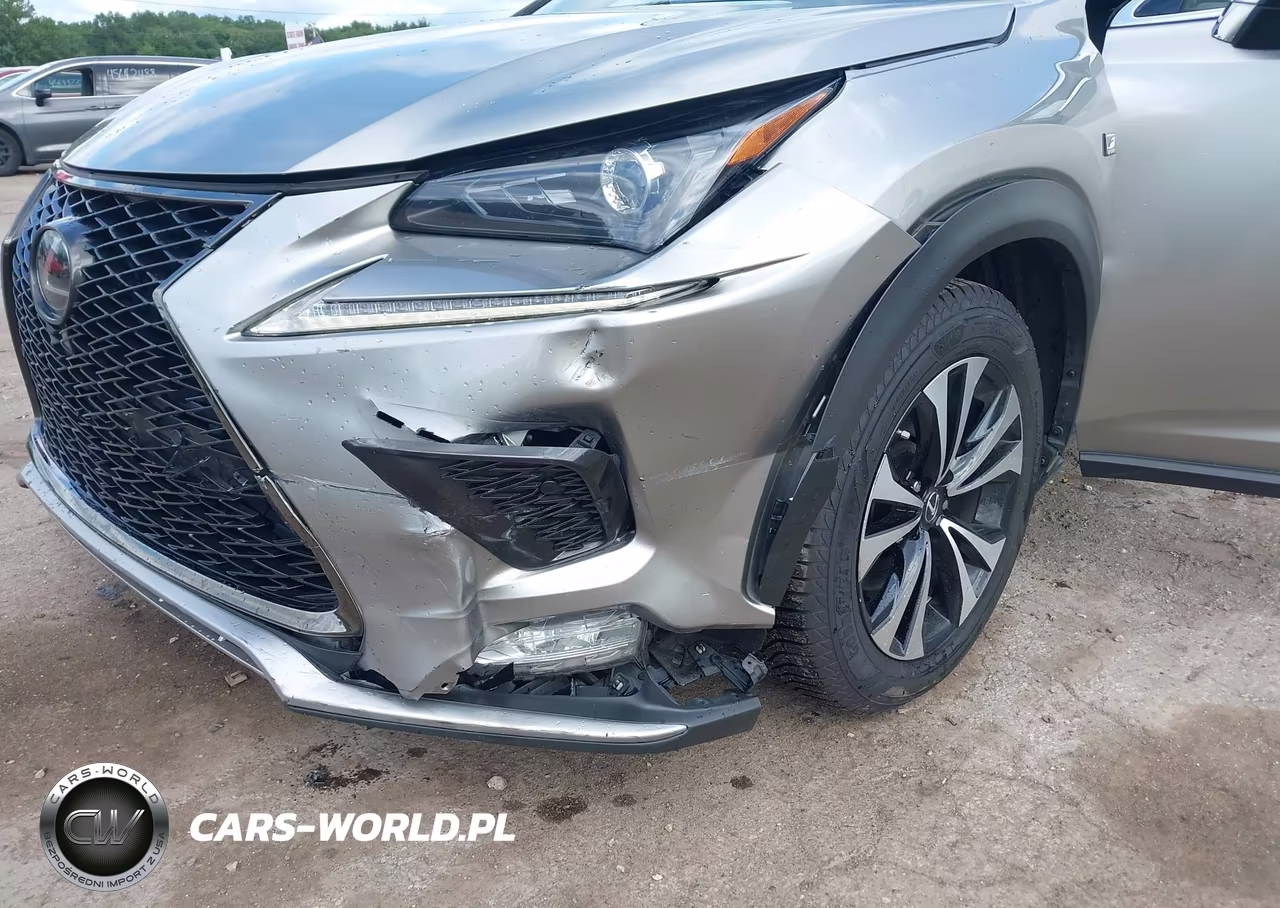 2019 Lexus Nx 300 F Sport VIN:JTJBARBZ7K2211965 - 6