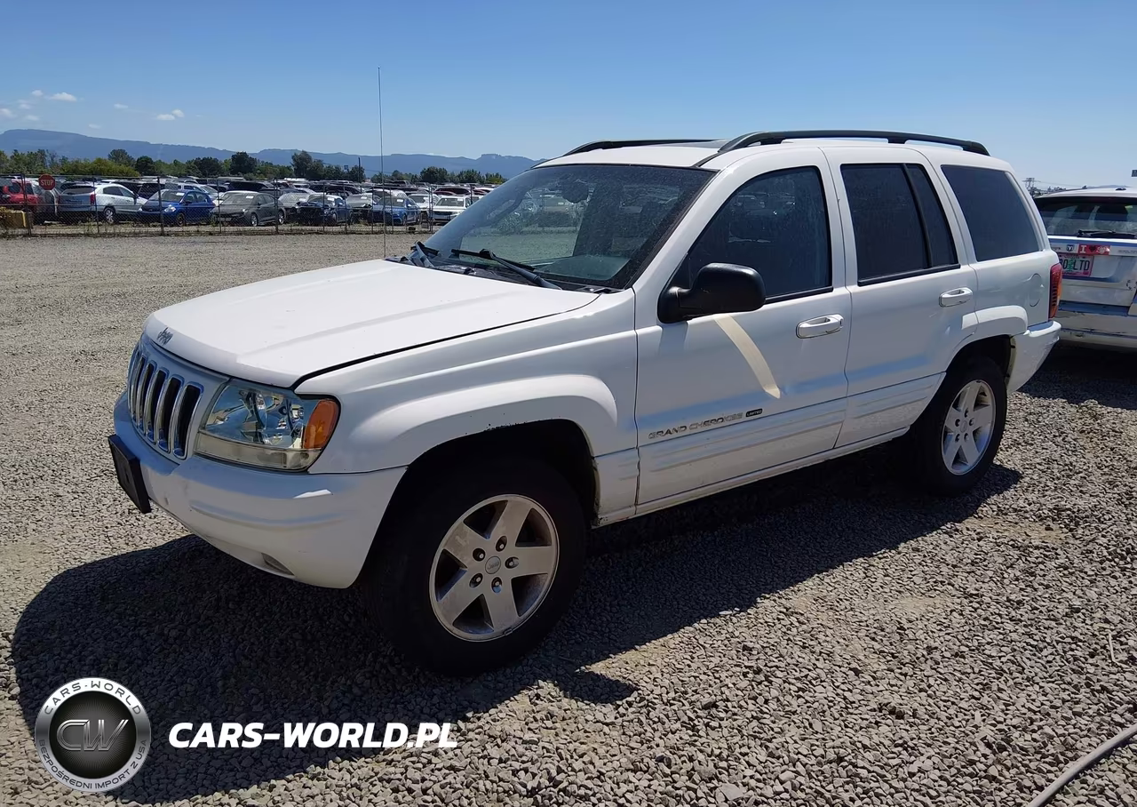2002 Jeep Grand Cherokee Limited VIN:1J8GW58N22C224973 - 2