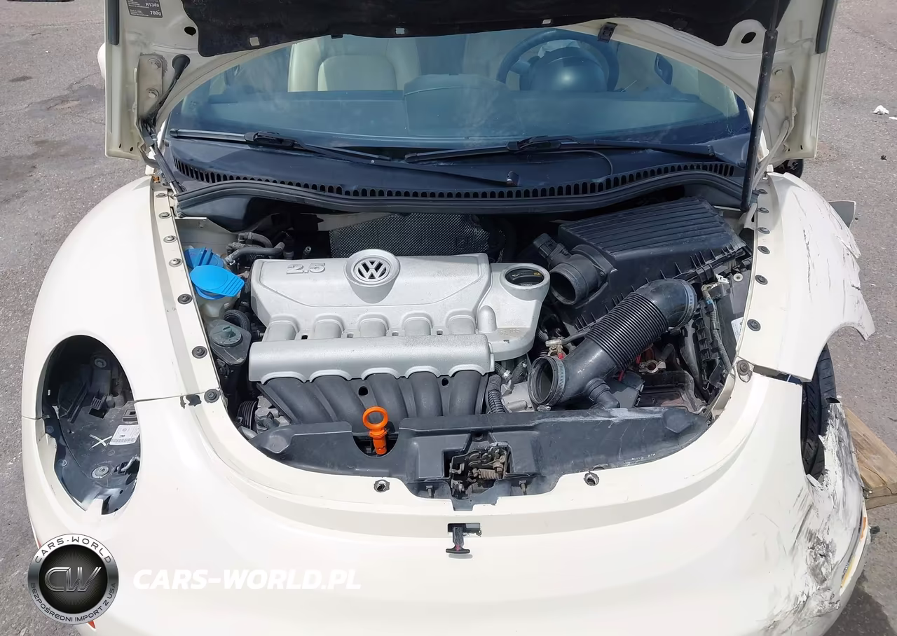 2008 Volkswagen New Beetle S VIN:3VWPW31C58M524130 - 10