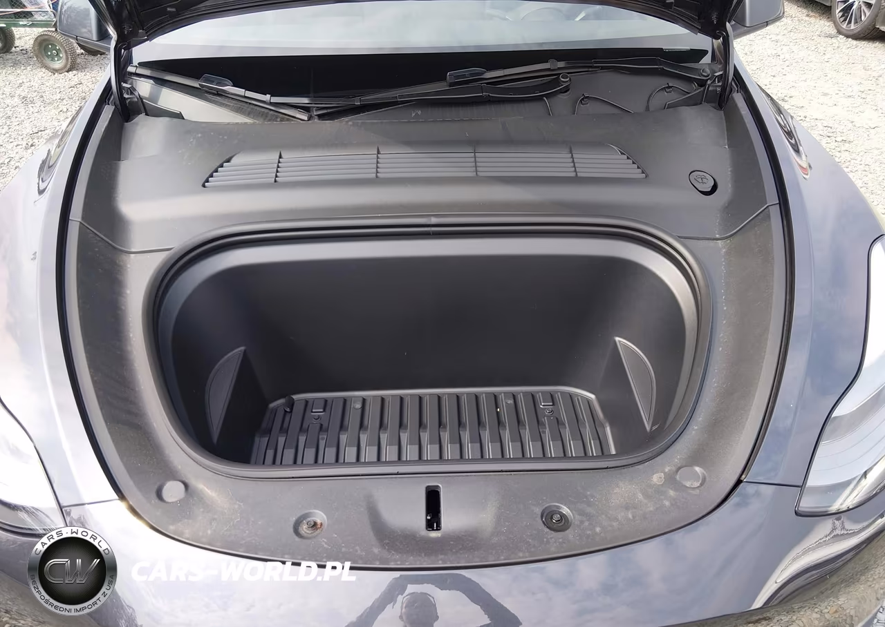 2025 Tesla Model Y Performance Dual Motor All-Wheel Drive VIN:7SAYGDEF8SF265212 - 10