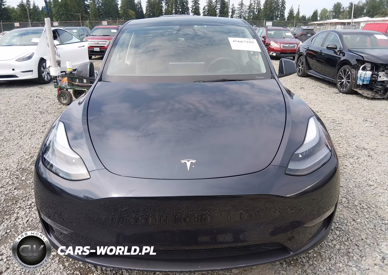 2025 Tesla Model Y Performance Dual Motor All-Wheel Drive VIN:7SAYGDEF8SF265212 - 12