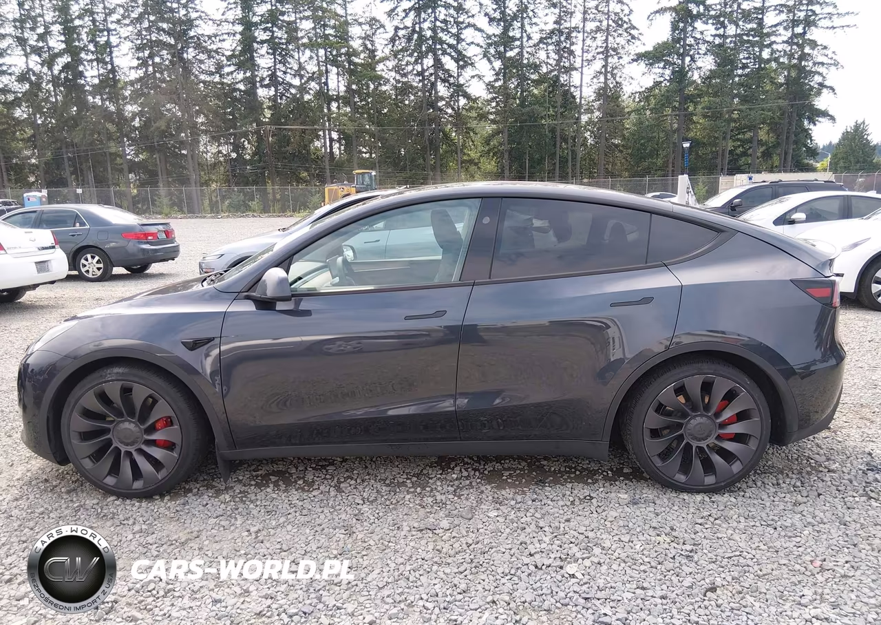 2025 Tesla Model Y Performance Dual Motor All-Wheel Drive VIN:7SAYGDEF8SF265212 - 14