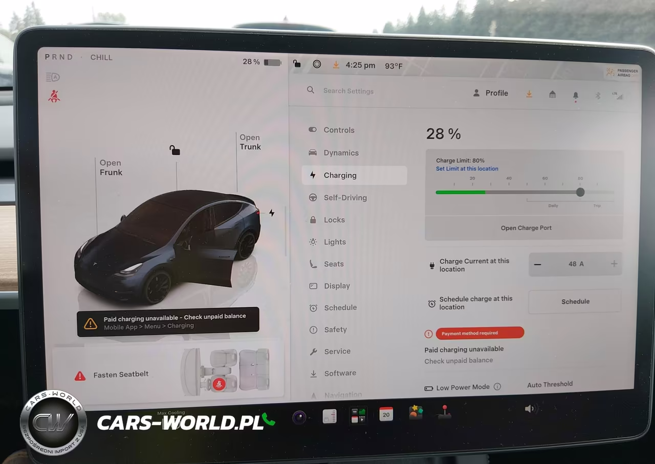 2025 Tesla Model Y Performance Dual Motor All-Wheel Drive VIN:7SAYGDEF8SF265212 - 17