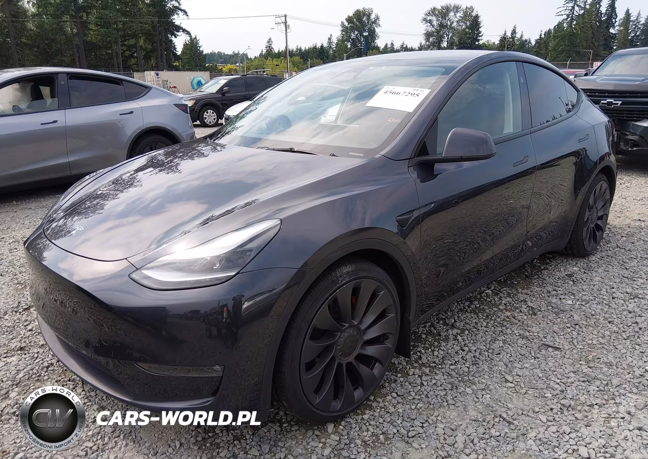 2025 Tesla Model Y Performance Dual Motor All-Wheel Drive VIN:7SAYGDEF8SF265212 - 2