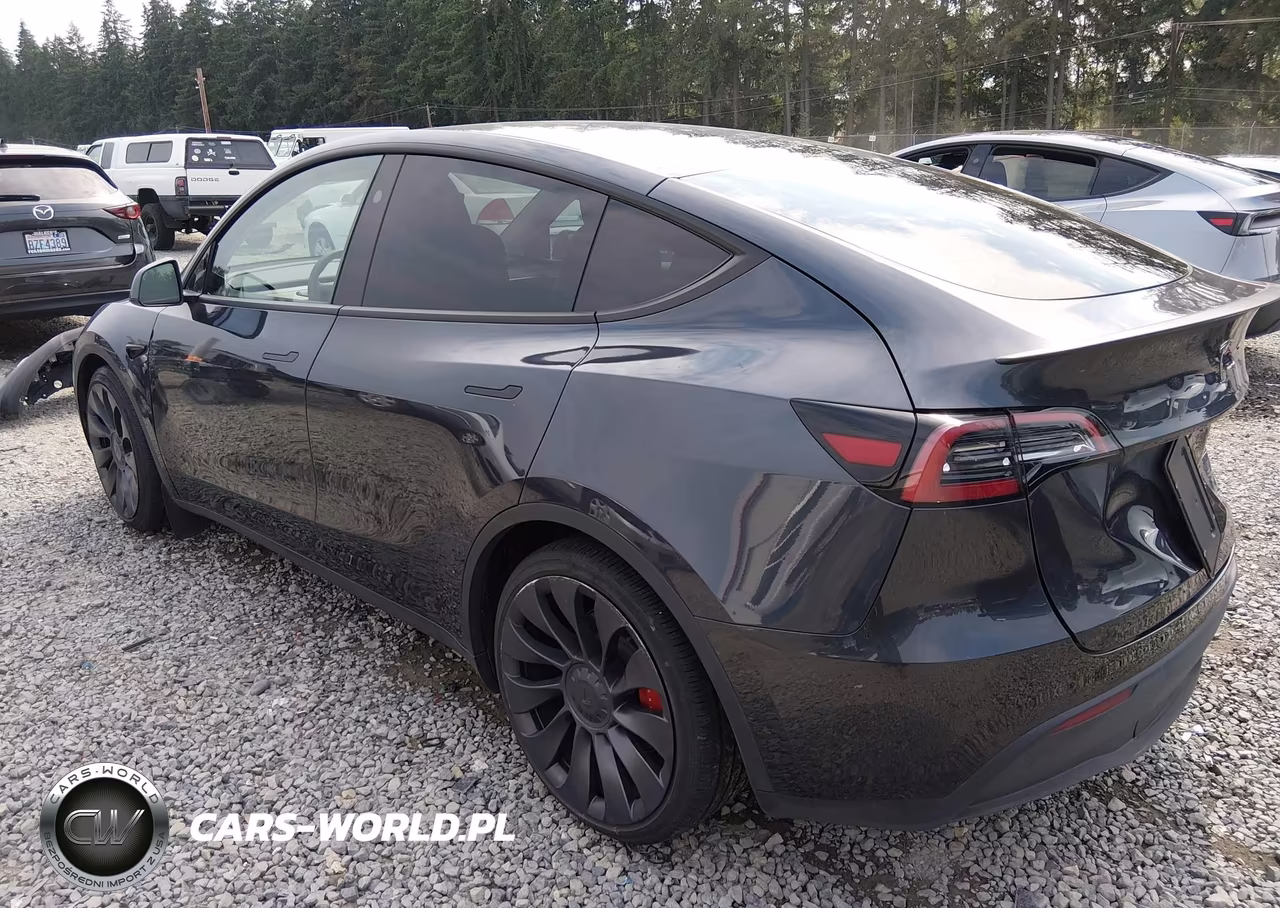 2025 Tesla Model Y Performance Dual Motor All-Wheel Drive VIN:7SAYGDEF8SF265212 - 3