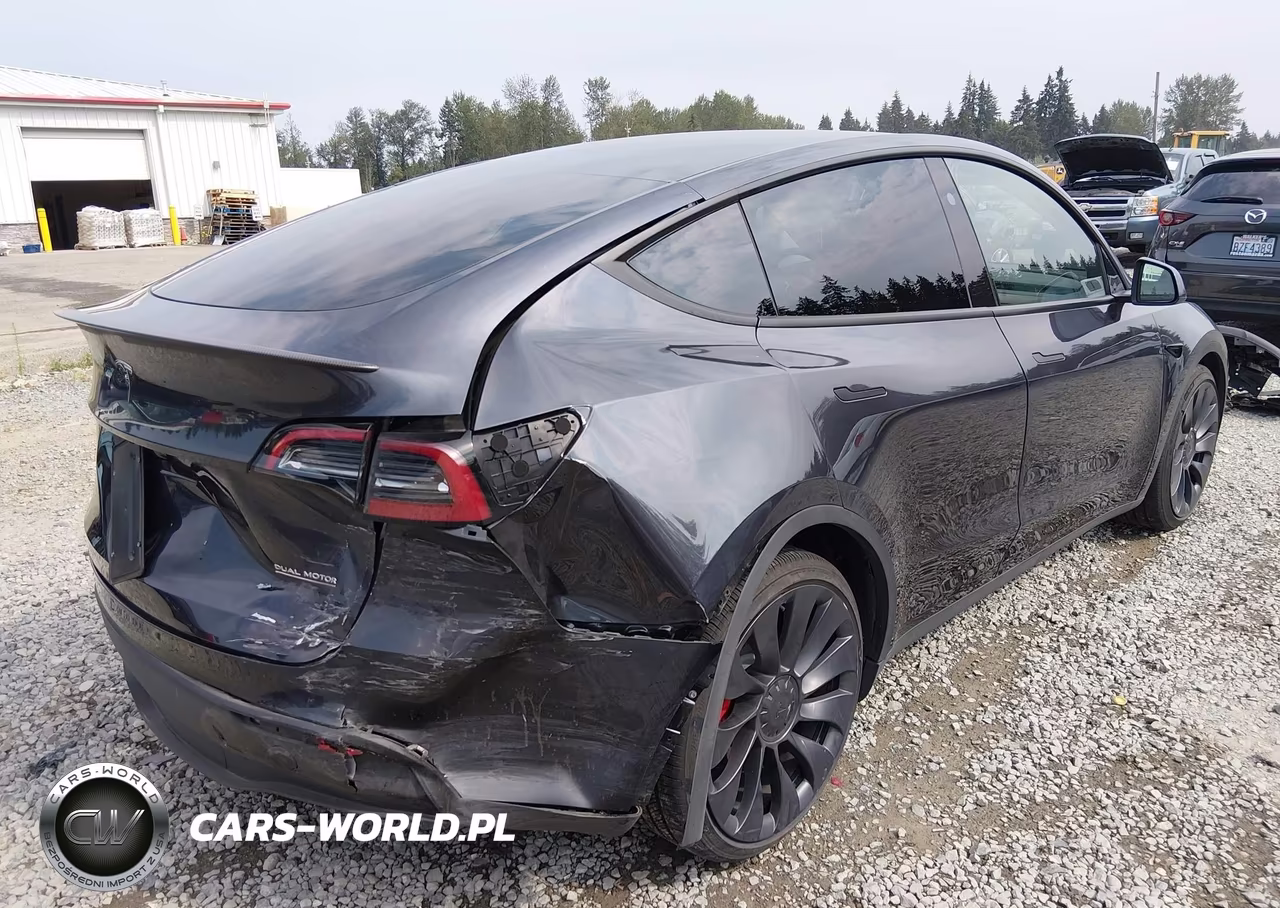 2025 Tesla Model Y Performance Dual Motor All-Wheel Drive VIN:7SAYGDEF8SF265212 - 4