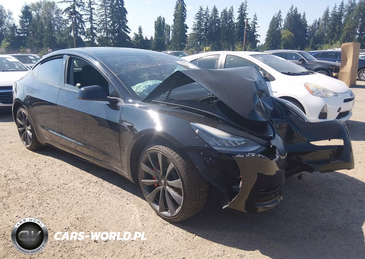 2019 Tesla Model 3 Long Range-Performance