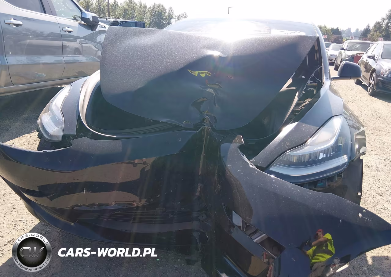 2019 Tesla Model 3 Long Range-Performance VIN:5YJ3E1EB4KF425675 - 10
