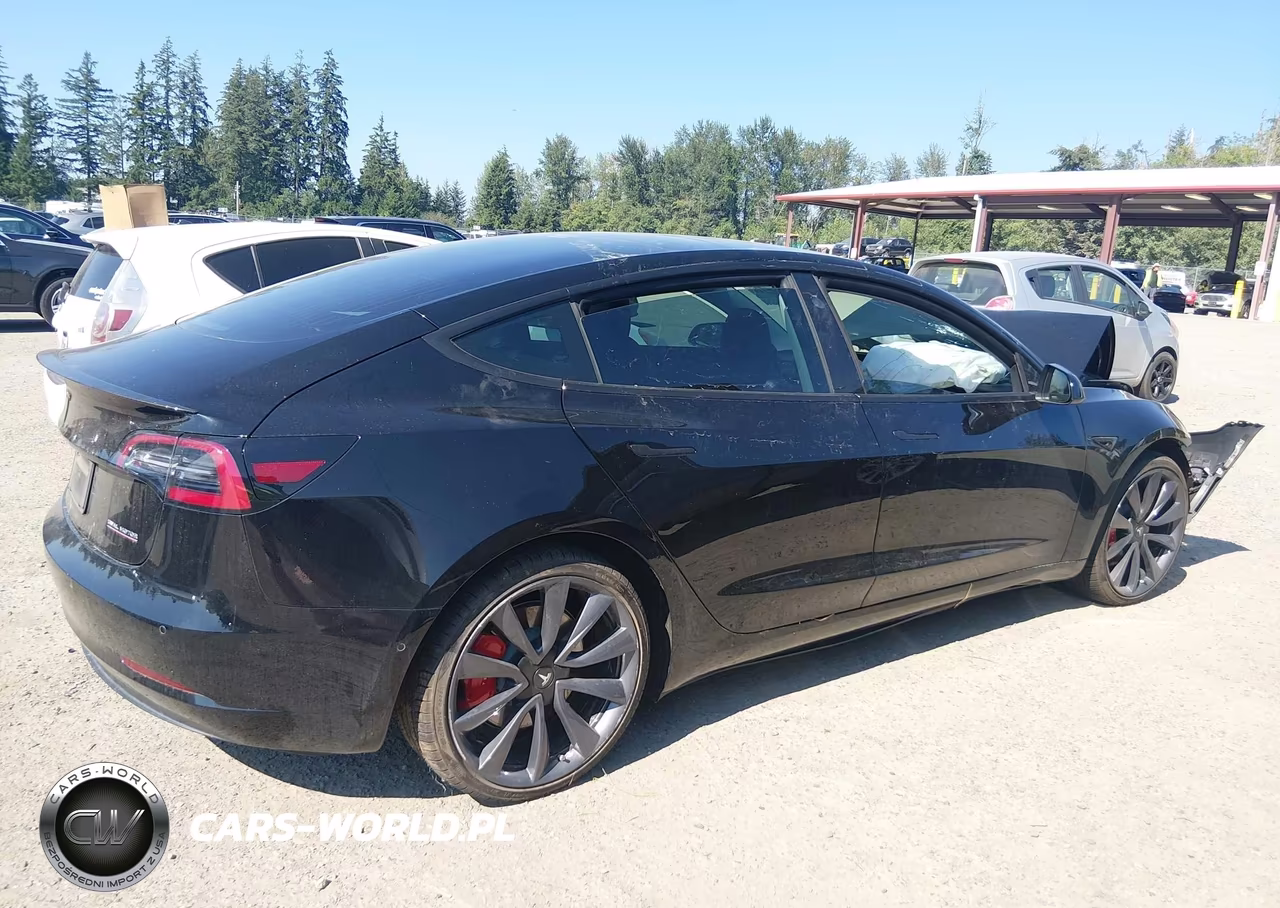 2019 Tesla Model 3 Long Range-Performance VIN:5YJ3E1EB4KF425675 - 12