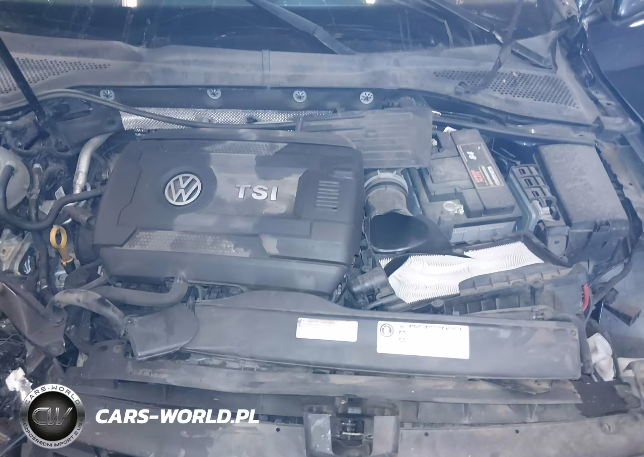 2015 Volkswagen Golf Tsi S 4-Door VIN:3VW217AU8FM087004 - 10