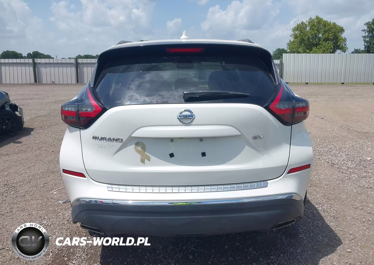 2019 Nissan Murano Sv VIN:5N1AZ2MJ8KN163862 - 16