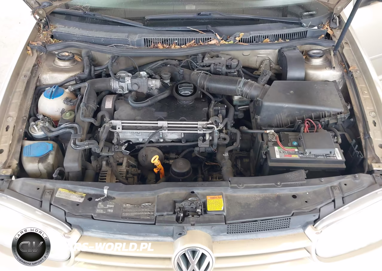 2005 Volkswagen Golf Gls Tdi VIN:9BWGR61J554017199 - 10