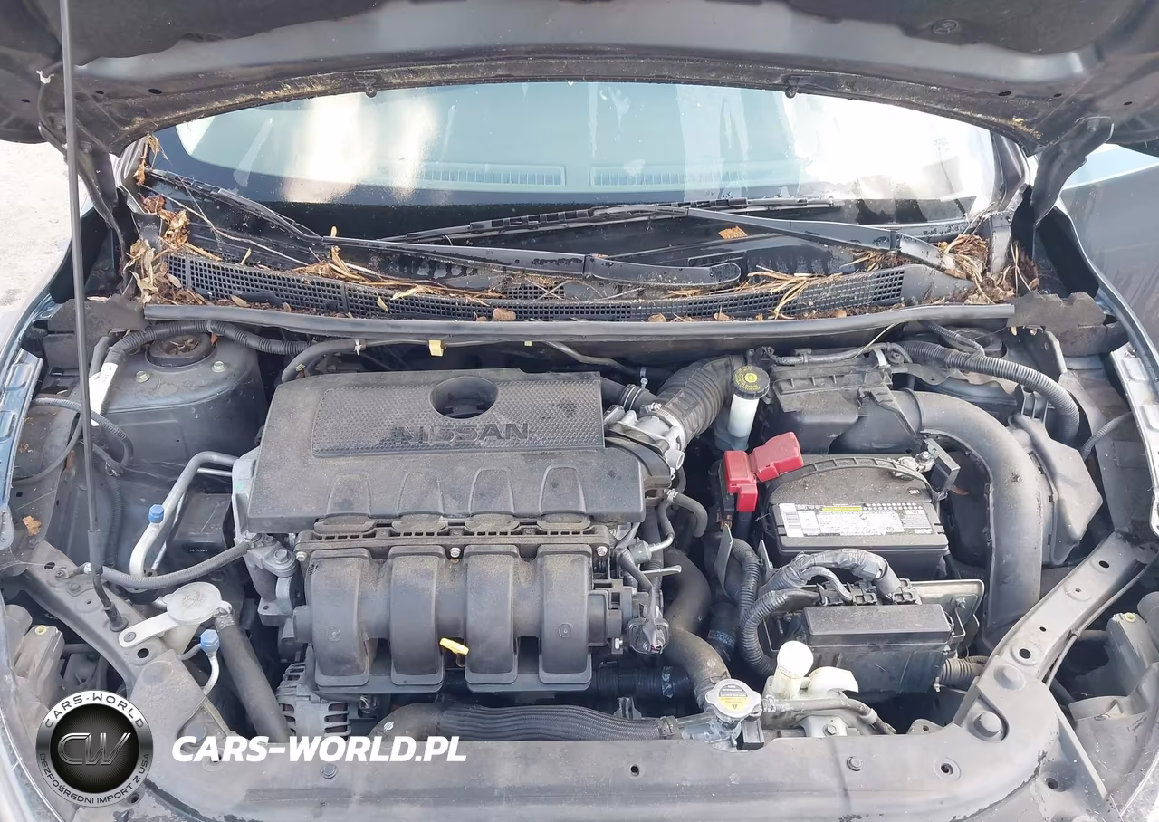2016 Nissan Sentra Sv VIN:3N1AB7AP4GY223941 - 10