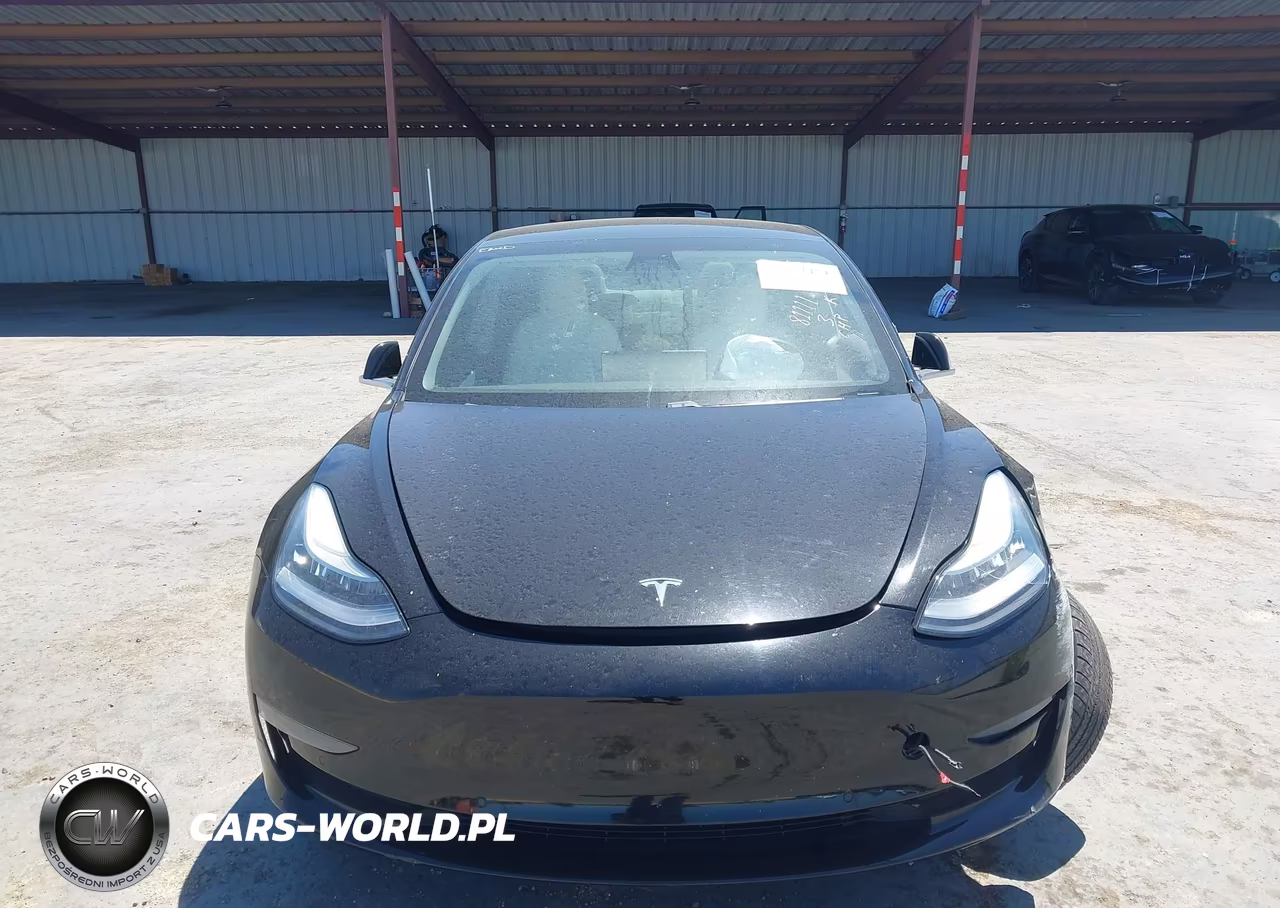 2020 Tesla Model 3 Standard Range Plus Rear-Wheel Drive-Standard Range Rear-Wheel Drive VIN:5YJ3E1EA0LF662527 - 10