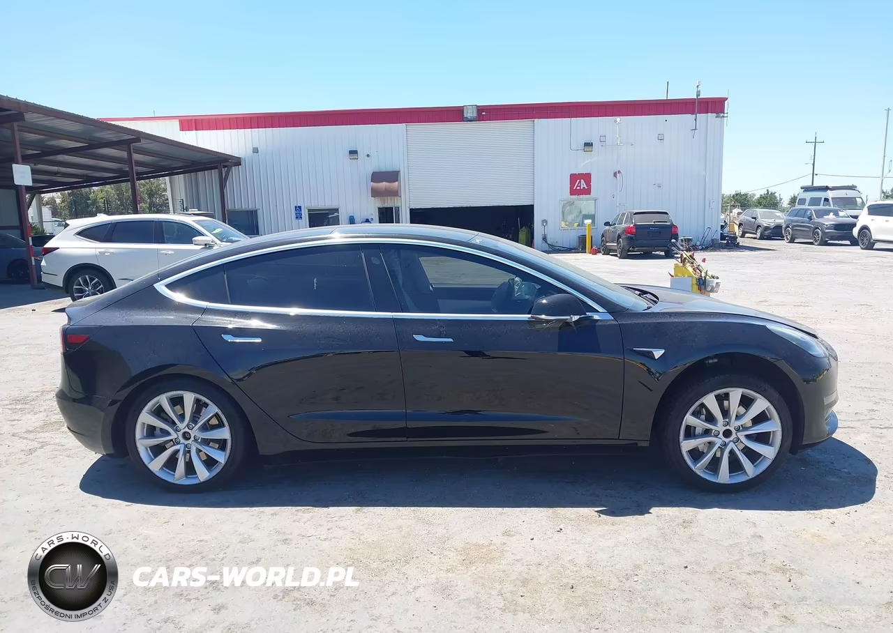 2020 Tesla Model 3 Standard Range Plus Rear-Wheel Drive-Standard Range Rear-Wheel Drive VIN:5YJ3E1EA0LF662527 - 11