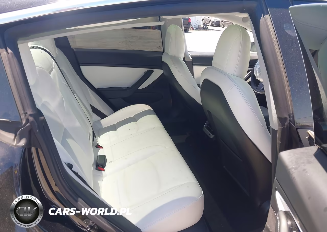 2020 Tesla Model 3 Standard Range Plus Rear-Wheel Drive-Standard Range Rear-Wheel Drive VIN:5YJ3E1EA0LF662527 - 8