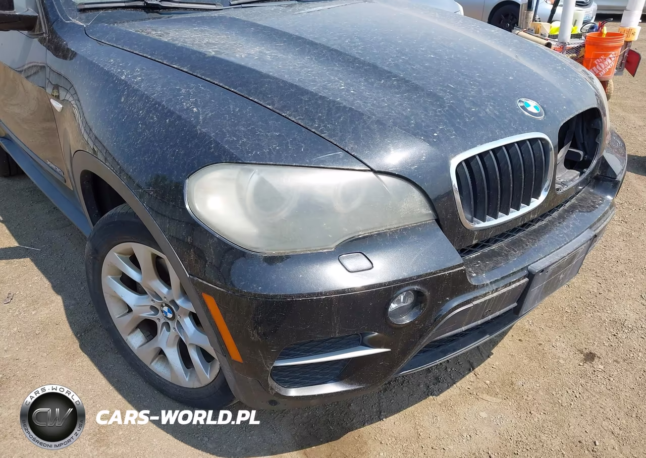 2011 BMW X5 xDrive35I-xDrive35I Premium-xDrive35I Sport Activity VIN:5UXZV4C59BL405958 - 12