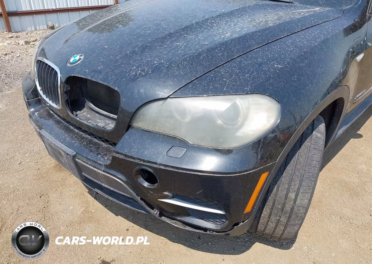 2011 BMW X5 xDrive35I-xDrive35I Premium-xDrive35I Sport Activity VIN:5UXZV4C59BL405958 - 13
