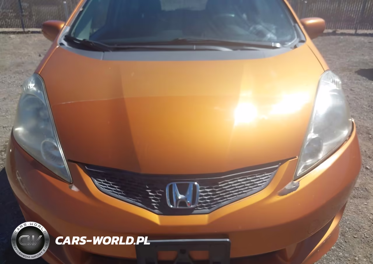 2010 Honda Fit Sport VIN:JHMGE8G49AS014815 - 6