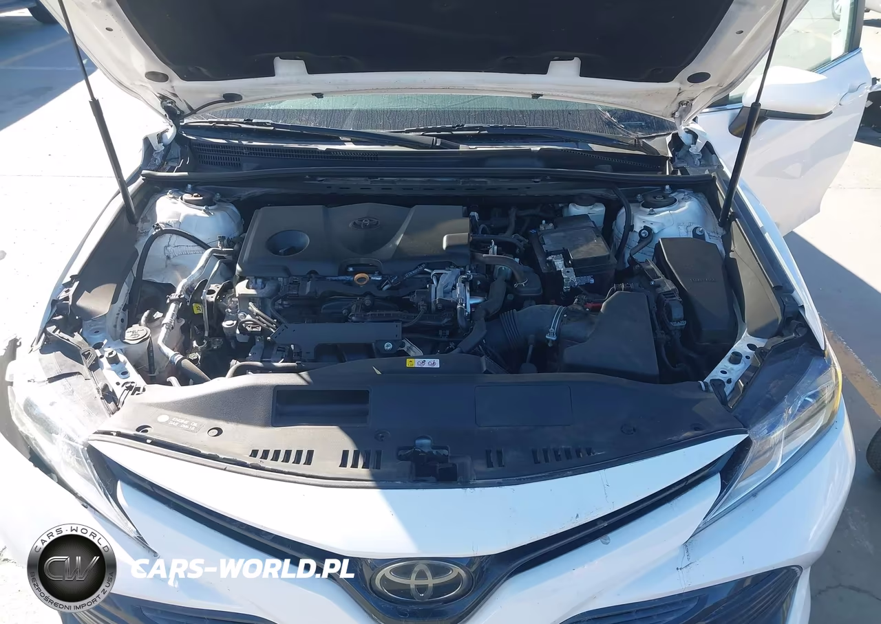 2020 Toyota Camry Le VIN:4T1C11AK4LU342754 - 10
