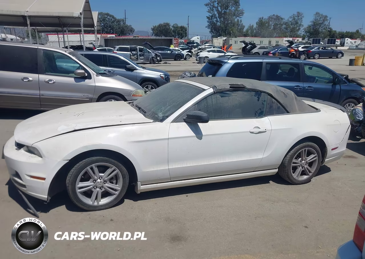 2013 Ford Mustang V6 VIN:1ZVBP8EMXD5211338 - 13