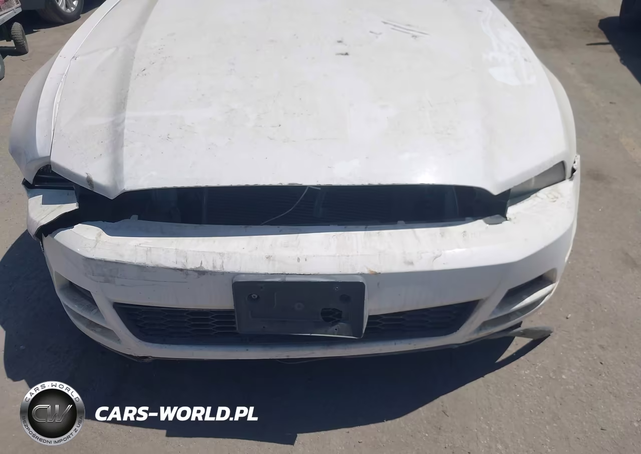 2013 Ford Mustang V6 VIN:1ZVBP8EMXD5211338 - 6
