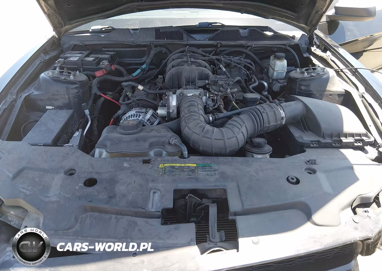 2010 Ford Mustang V6-V6 Premium VIN:1ZVBP8AN8A5146595 - 10