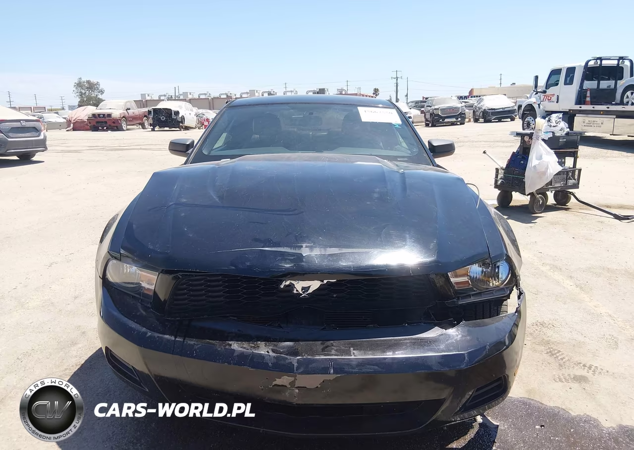 2010 Ford Mustang V6-V6 Premium VIN:1ZVBP8AN8A5146595 - 11