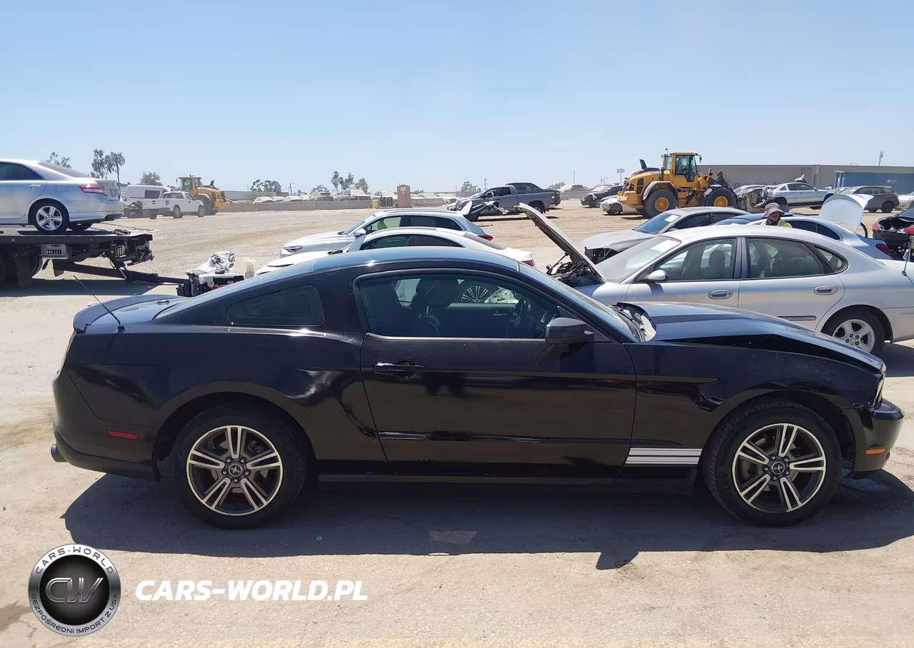 2010 Ford Mustang V6-V6 Premium VIN:1ZVBP8AN8A5146595 - 12