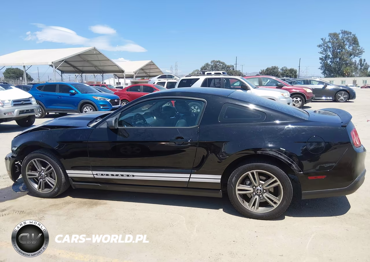 2010 Ford Mustang V6-V6 Premium VIN:1ZVBP8AN8A5146595 - 13