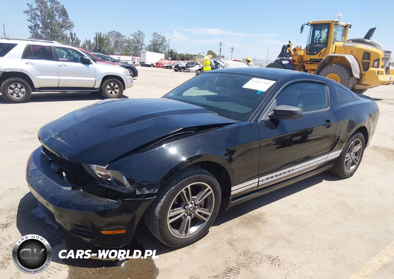 2010 Ford Mustang V6-V6 Premium VIN:1ZVBP8AN8A5146595 - 2